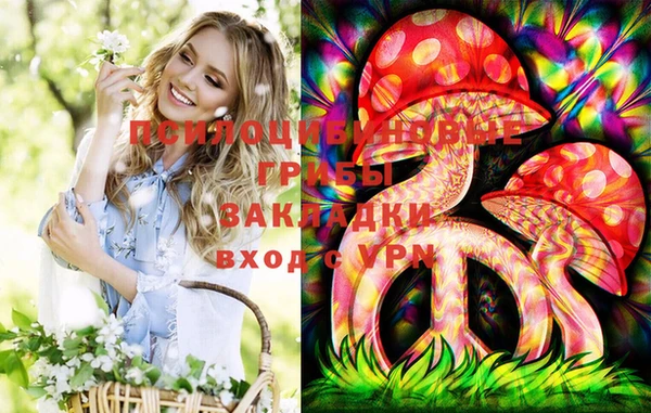 шишки Бугульма
