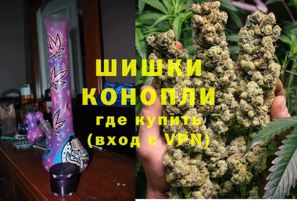 стаф Бородино