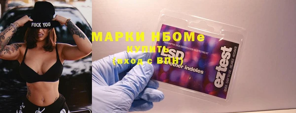 стаф Бородино