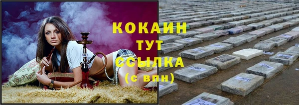 сатива Горнозаводск